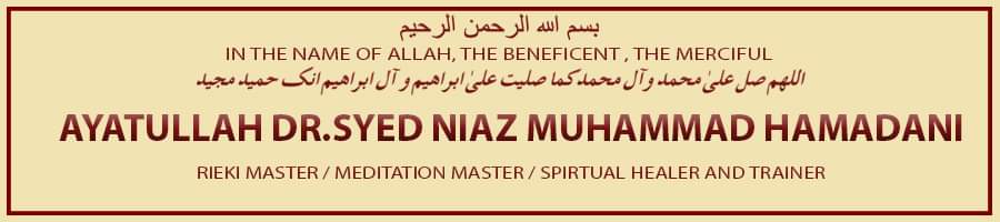 Dr.Syed Niaz Hamadani Logo